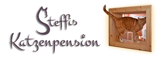 Steffis Katzenpension